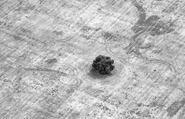 Argentina. Matar al mundo: Chaco, el desmonte amazónico que sufre el país