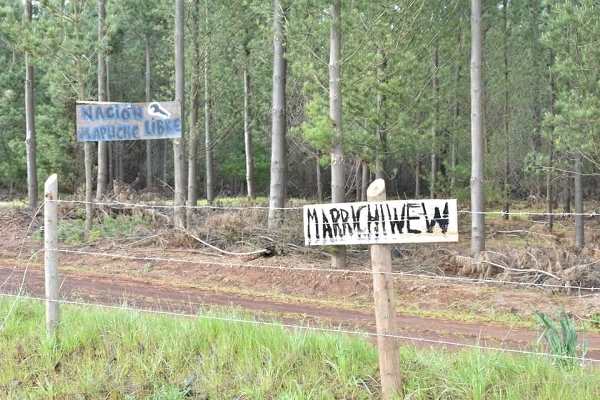 Nación Mapuche. Lob Mapuche Mallekoche: ocupación al predio Santa Cruz usurpado por Forestal Arauco