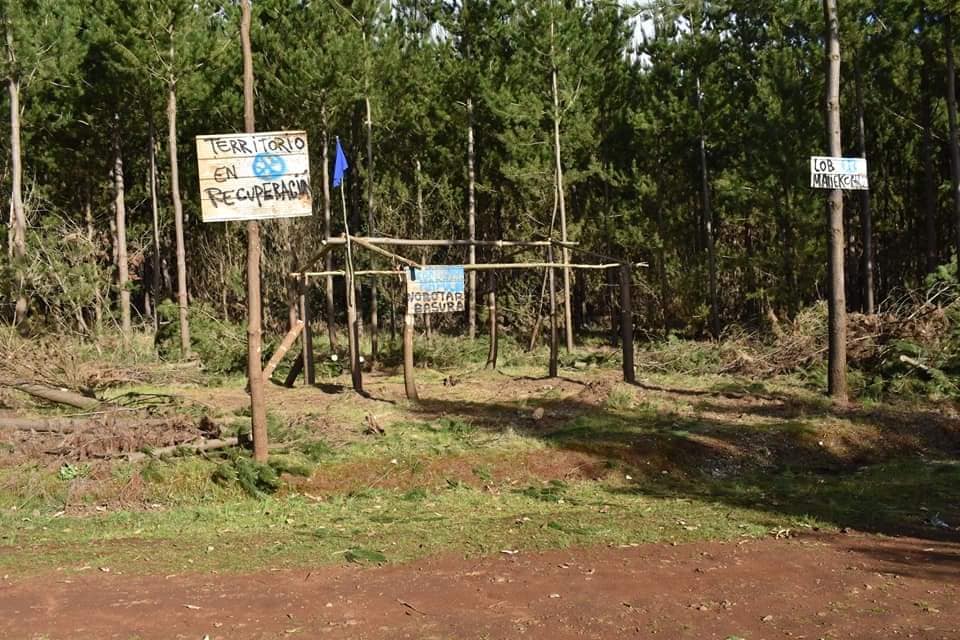 Puede ser una imagen de al aire libre y árbol