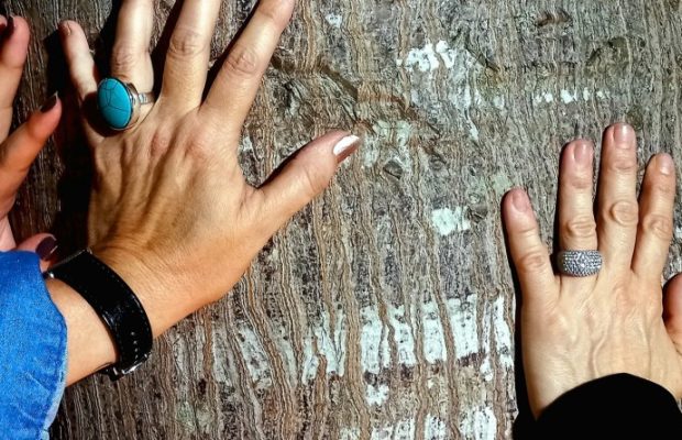 Cuba. Vueltas a la ceiba y deseos en el cumpleaños de La Habana