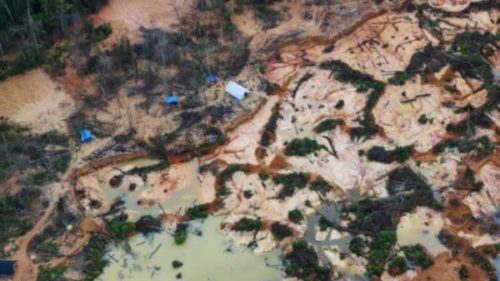 Pueblos Originarios. Confirman presencia de mineros ilegales en comunidad yanomami