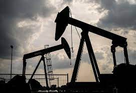 Medio Oriente. Ratio, la empresa israelí que opera en los territorios ocupados de Palestina y el Sáhara Occidental