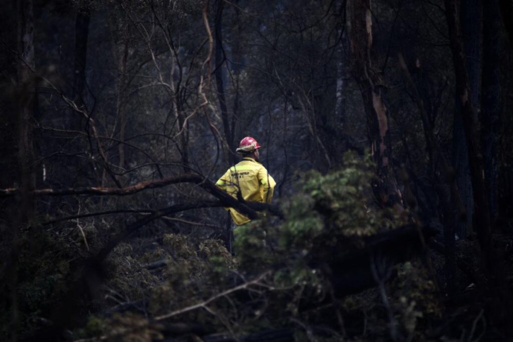 Incendios en la Patagonia y en el resto de Argentina